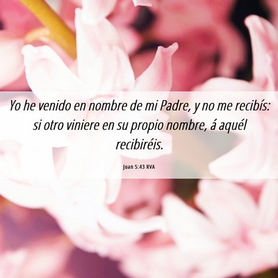 Picture 06 - Juan 5:43 RVA - Yo he venido en nombre de mi Padre, y no me - Bible Verse Picture