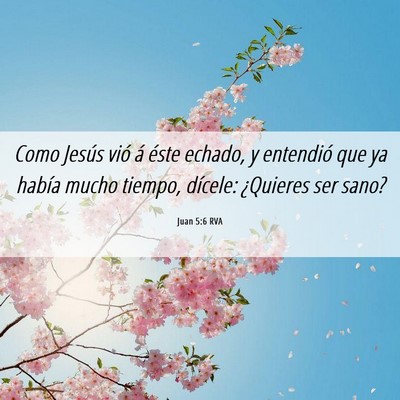 Picture 06 - Juan 5:6 RVA - Como Jesús vió á éste echado, y entendió que - Bible Verse Picture