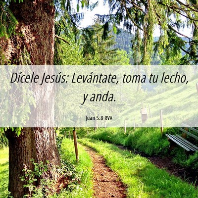 Picture 06 - Juan 5:8 RVA - Dícele Jesús: Levántate, toma tu lecho, y - Bible Verse Picture