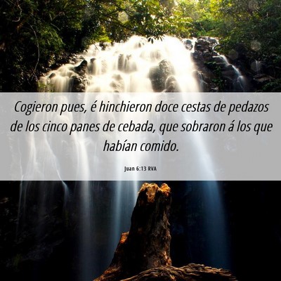 Picture 06 - Juan 6:13 RVA - Cogieron pues, é hinchieron doce cestas de - Bible Verse Picture