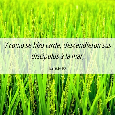 Picture 06 - Juan 6:16 RVA - Y como se hizo tarde, descendieron sus - Bible Verse Picture