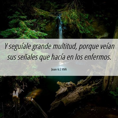 Picture 06 - Juan 6:2 RVA - Y seguíale grande multitud, porque veían sus - Bible Verse Picture