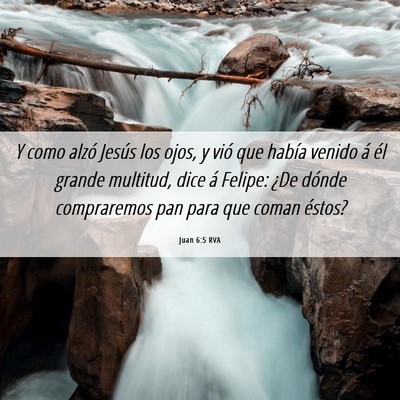 Picture 06 - Juan 6:5 RVA - Y como alzó Jesús los ojos, y vió que había - Bible Verse Picture