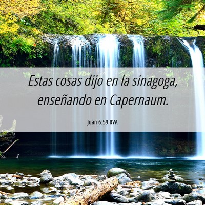 Picture 06 - Juan 6:59 RVA - Estas cosas dijo en la sinagoga, enseñando en - Bible Verse Picture