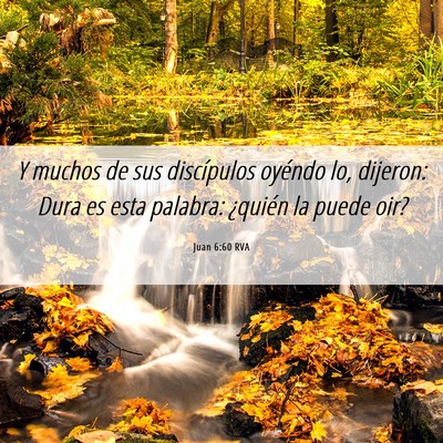 Picture 06 - Juan 6:60 RVA - Y muchos de sus discípulos oyéndo lo, dijeron: - Bible Verse Picture