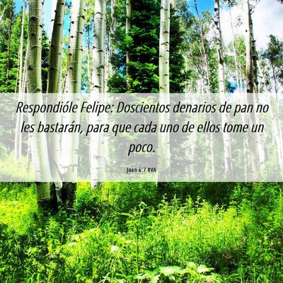 Picture 06 - Juan 6:7 RVA - Respondióle Felipe: Doscientos denarios de pan - Bible Verse Picture