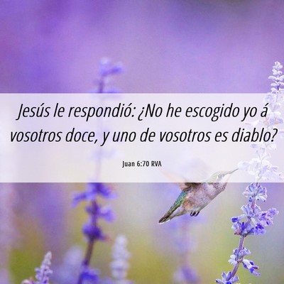 Picture 06 - Juan 6:70 RVA - Jesús le respondió: ¿No he escogido yo á - Bible Verse Picture