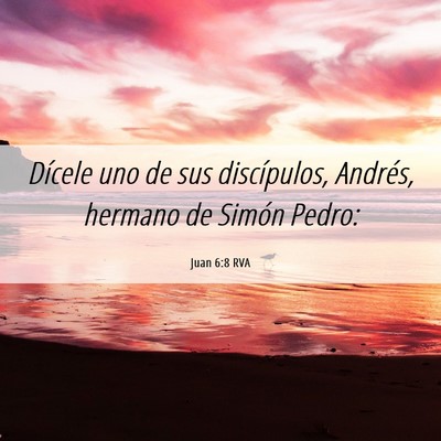 Picture 06 - Juan 6:8 RVA - Dícele uno de sus discípulos, Andrés, hermano - Bible Verse Picture