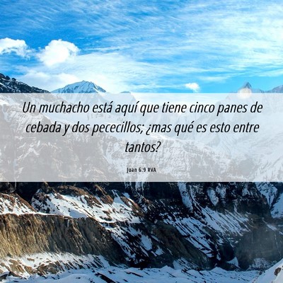 Picture 06 - Juan 6:9 RVA - Un muchacho está aquí que tiene cinco panes de - Bible Verse Picture