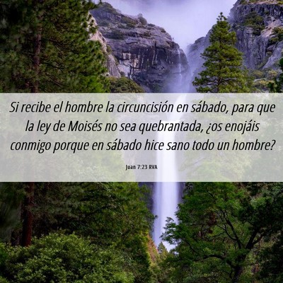 Picture 06 - Juan 7:23 RVA - Si recibe el hombre la circuncisión en sábado, - Bible Verse Picture