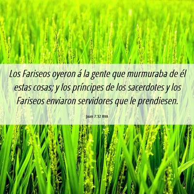 Picture 06 - Juan 7:32 RVA - Los Fariseos oyeron á la gente que murmuraba de - Bible Verse Picture
