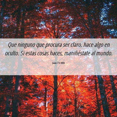Picture 06 - Juan 7:4 RVA - Que ninguno que procura ser claro, hace algo en - Bible Verse Picture