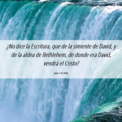 Picture 06 - Juan 7:42 RVA - ¿No dice la Escritura, que de la simiente de - Bible Verse Picture