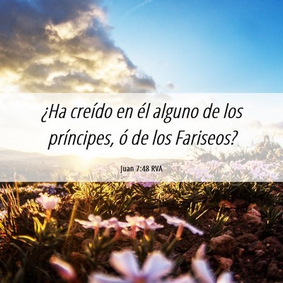 Picture 06 - Juan 7:48 RVA - ¿Ha creído en él alguno de los príncipes, ó - Bible Verse Picture