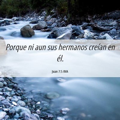 Picture 06 - Juan 7:5 RVA - Porque ni aun sus hermanos creían en - Bible Verse Picture