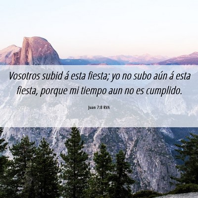 Picture 06 - Juan 7:8 RVA - Vosotros subid á esta fiesta; yo no subo aún á - Bible Verse Picture