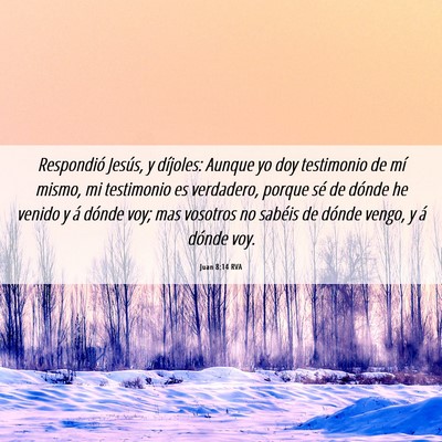 Picture 06 - Juan 8:14 RVA - Respondió Jesús, y díjoles: Aunque yo doy - Bible Verse Picture
