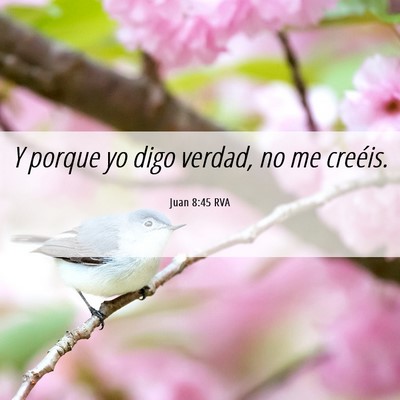 Picture 06 - Juan 8:45 RVA - Y porque yo digo verdad, no me - Bible Verse Picture