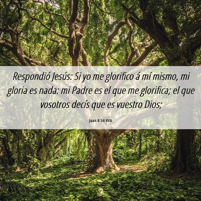 Picture 06 - Juan 8:54 RVA - Respondió Jesús: Si yo me glorifico á mí - Bible Verse Picture