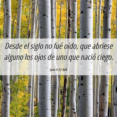 Picture 06 - Juan 9:32 RVA - Desde el siglo no fué oído, que abriese alguno - Bible Verse Picture