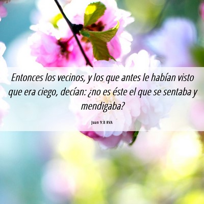 Picture 06 - Juan 9:8 RVA - Entonces los vecinos, y los que antes le habían - Bible Verse Picture