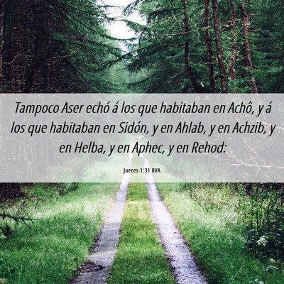 Picture 06 - Jueces 1:31 RVA - Tampoco Aser echó á los que habitaban en Achô, - Bible Verse Picture