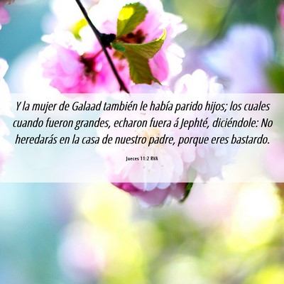 Picture 06 - Jueces 11:2 RVA - Y la mujer de Galaad también le había parido - Bible Verse Picture