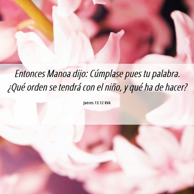 Picture 06 - Jueces 13:12 RVA - Entonces Manoa dijo: Cúmplase pues tu palabra. - Bible Verse Picture