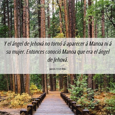 Picture 06 - Jueces 13:21 RVA - Y el ángel de Jehová no tornó á aparecer á - Bible Verse Picture