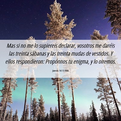 Picture 06 - Jueces 14:13 RVA - Mas si no me lo supiereis declarar, vosotros me - Bible Verse Picture