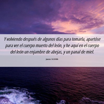 Picture 06 - Jueces 14:8 RVA - Y volviendo después de algunos días para - Bible Verse Picture