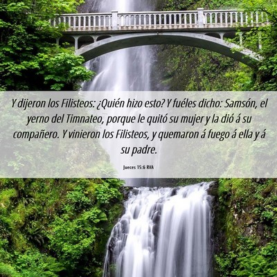 Picture 06 - Jueces 15:6 RVA - Y dijeron los Filisteos: ¿Quién hizo esto? Y - Bible Verse Picture