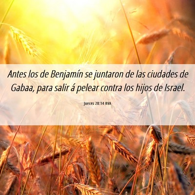 Picture 06 - Jueces 20:14 RVA - Antes los de Benjamín se juntaron de las - Bible Verse Picture