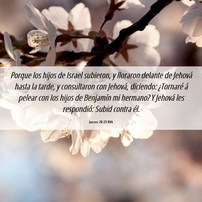 Picture 06 - Jueces 20:23 RVA - Porque los hijos de Israel subieron, y lloraron - Bible Verse Picture