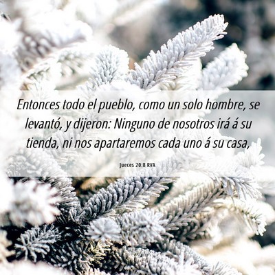 Picture 06 - Jueces 20:8 RVA - Entonces todo el pueblo, como un solo hombre, se - Bible Verse Picture