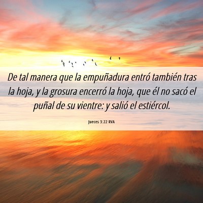 Picture 06 - Jueces 3:22 RVA - De tal manera que la empuñadura entró también - Bible Verse Picture