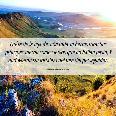 Picture 06 - Lamentaciones 1:6 RVA - Fuése de la hija de Sión toda su hermosura: Sus - Bible Verse Picture