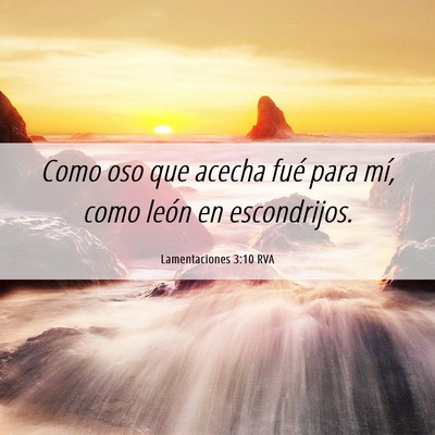 Picture 06 - Lamentaciones 3:10 RVA - Como oso que acecha fué para mí, como león en - Bible Verse Picture