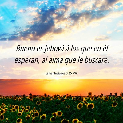 Picture 06 - Lamentaciones 3:25 RVA - Bueno es Jehová á los que en él esperan, al - Bible Verse Picture