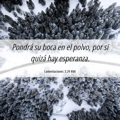 Picture 06 - Lamentaciones 3:29 RVA - Pondrá su boca en el polvo, por si quizá hay - Bible Verse Picture
