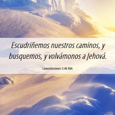 Picture 06 - Lamentaciones 3:40 RVA - Escudriñemos nuestros caminos, y busquemos, y - Bible Verse Picture
