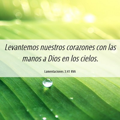 Picture 06 - Lamentaciones 3:41 RVA - Levantemos nuestros corazones con las manos a - Bible Verse Picture