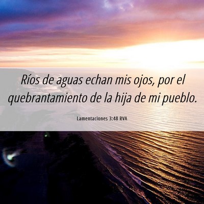 Picture 06 - Lamentaciones 3:48 RVA - Ríos de aguas echan mis ojos, por el - Bible Verse Picture