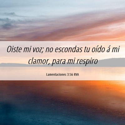 Picture 06 - Lamentaciones 3:56 RVA - Oiste mi voz; no escondas tu oído á mi clamor, - Bible Verse Picture