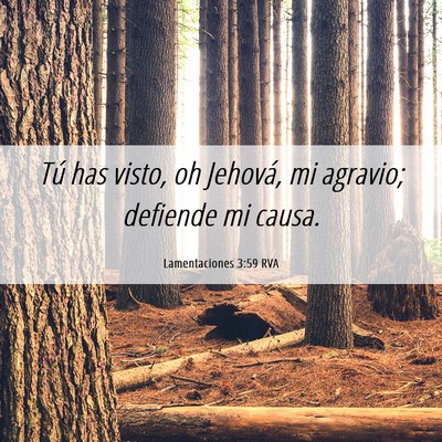 Picture 06 - Lamentaciones 3:59 RVA - Tú has visto, oh Jehová, mi agravio; defiende - Bible Verse Picture