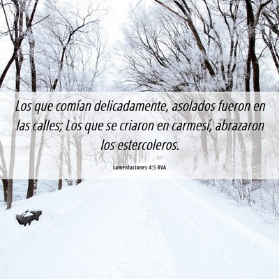 Picture 06 - Lamentaciones 4:5 RVA - Los que comían delicadamente, asolados fueron en - Bible Verse Picture