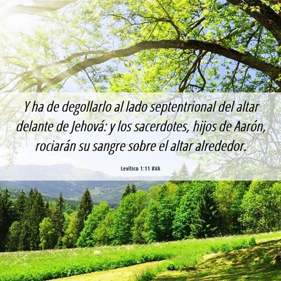 Picture 06 - Levítico 1:11 RVA - Y ha de degollarlo al lado septentrional del - Bible Verse Picture