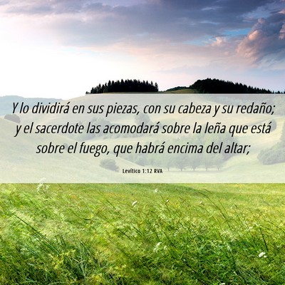 Picture 06 - Levítico 1:12 RVA - Y lo dividirá en sus piezas, con su cabeza y su - Bible Verse Picture