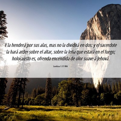 Picture 06 - Levítico 1:17 RVA - Y la henderá por sus alas, mas no la dividirá - Bible Verse Picture