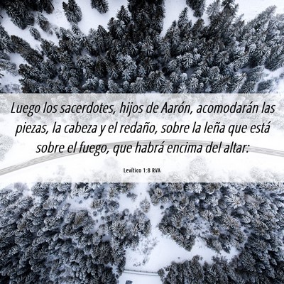 Picture 06 - Levítico 1:8 RVA - Luego los sacerdotes, hijos de Aarón, - Bible Verse Picture